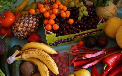 Fall into Balance: Get geeky about your food in the fall