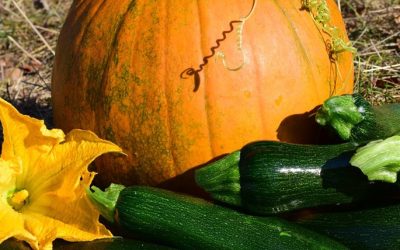 The 5 Do’s and Dont’s for Fall