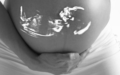 Episode #1. The link between pregnancy and menopause