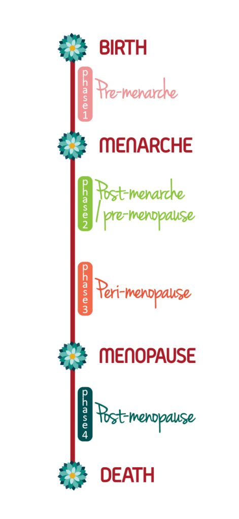 Stages  of menopause