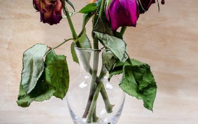 Episode #12. How to navigate grief and loss skillfully