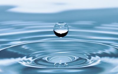 Episode #13. Surrender: pathway to health, success and happiness