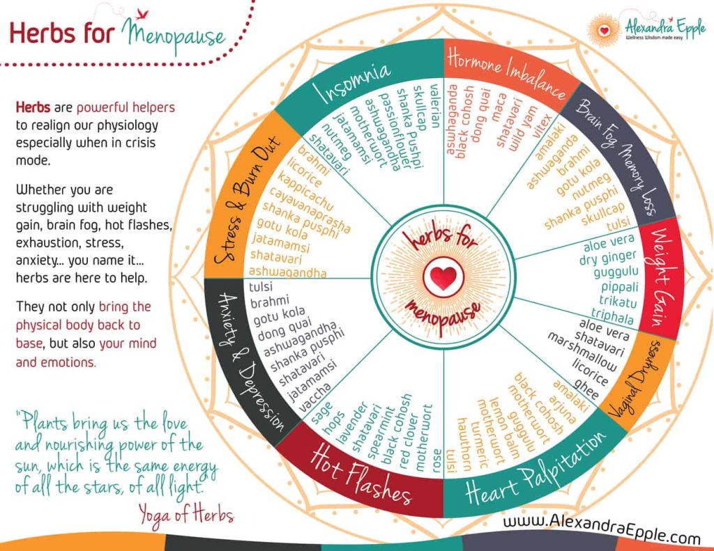 Herbs for menopause